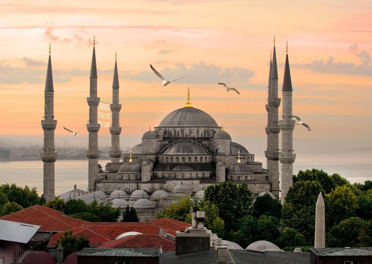 فندق آزر اسطنبول المظهر الخارجي الصورة